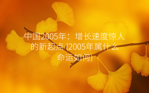中国2005年：增长速度惊人的新起点 (2005年属什么命运如何)